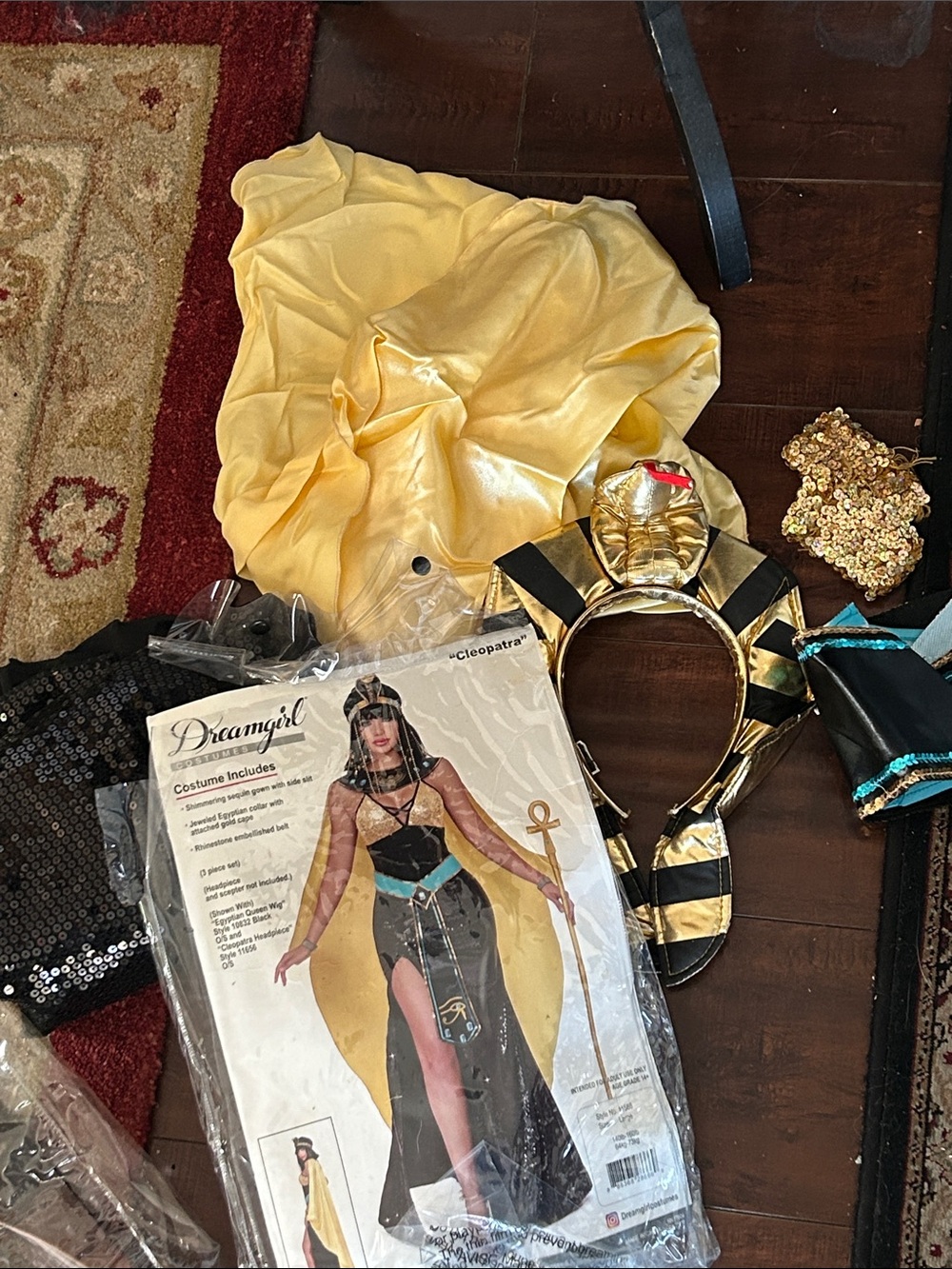 Dreamgirl Gold and Black Egyptian Style Headdress